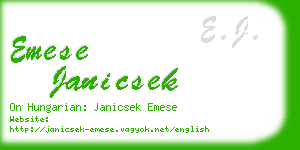 emese janicsek business card